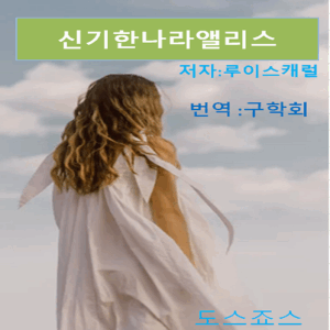 신기한나라앨리스