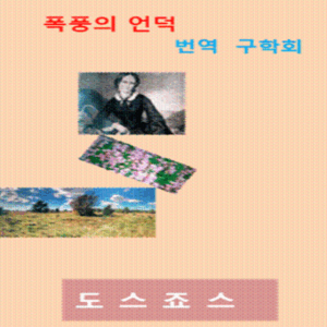 폭풍의언덕